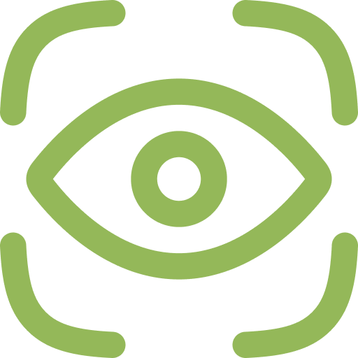 vision